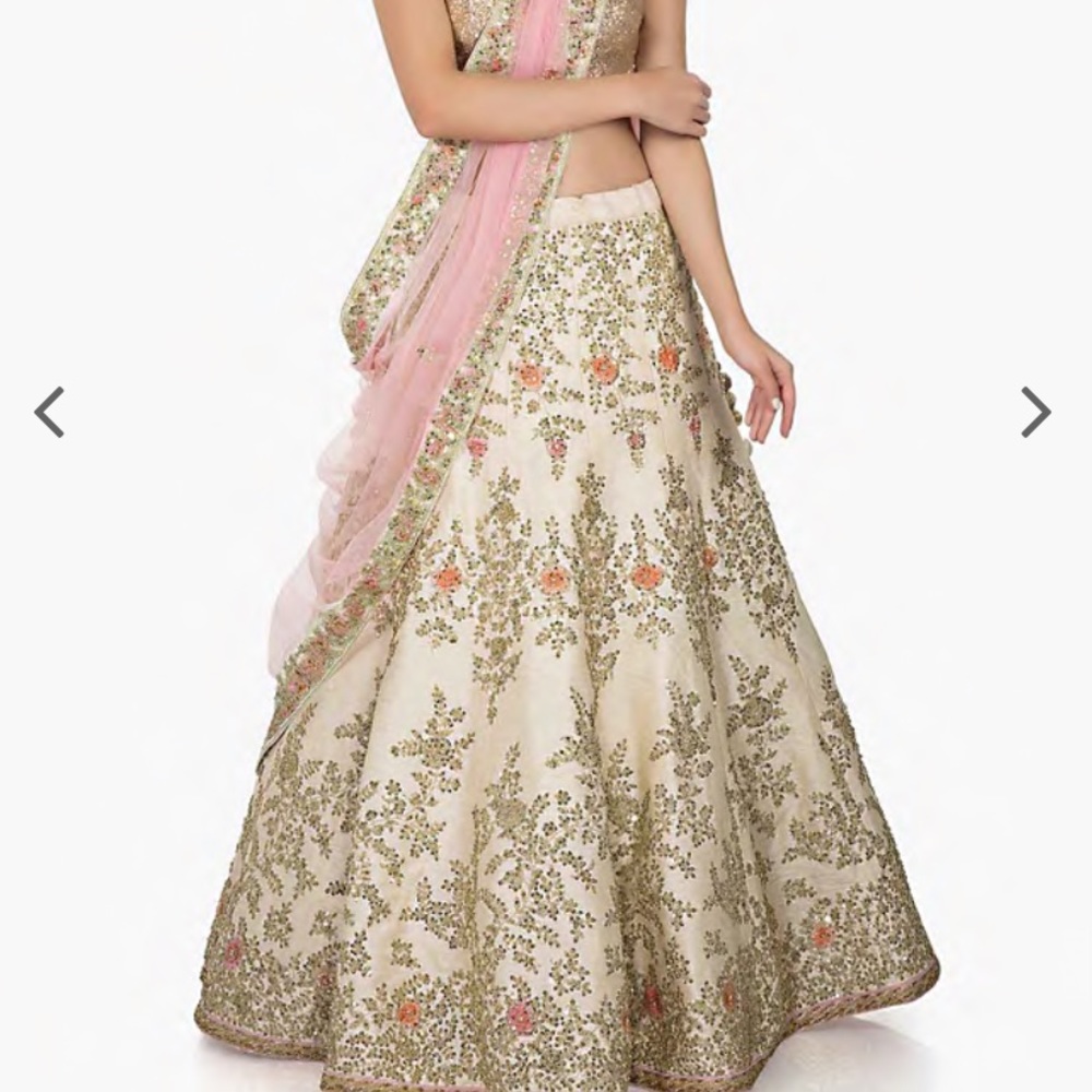Exquisite 3 piece Indian outfit